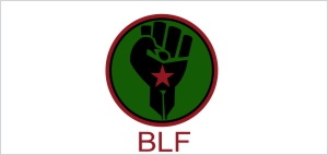 Black Fist Land First